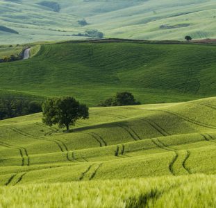 همکاری با ما